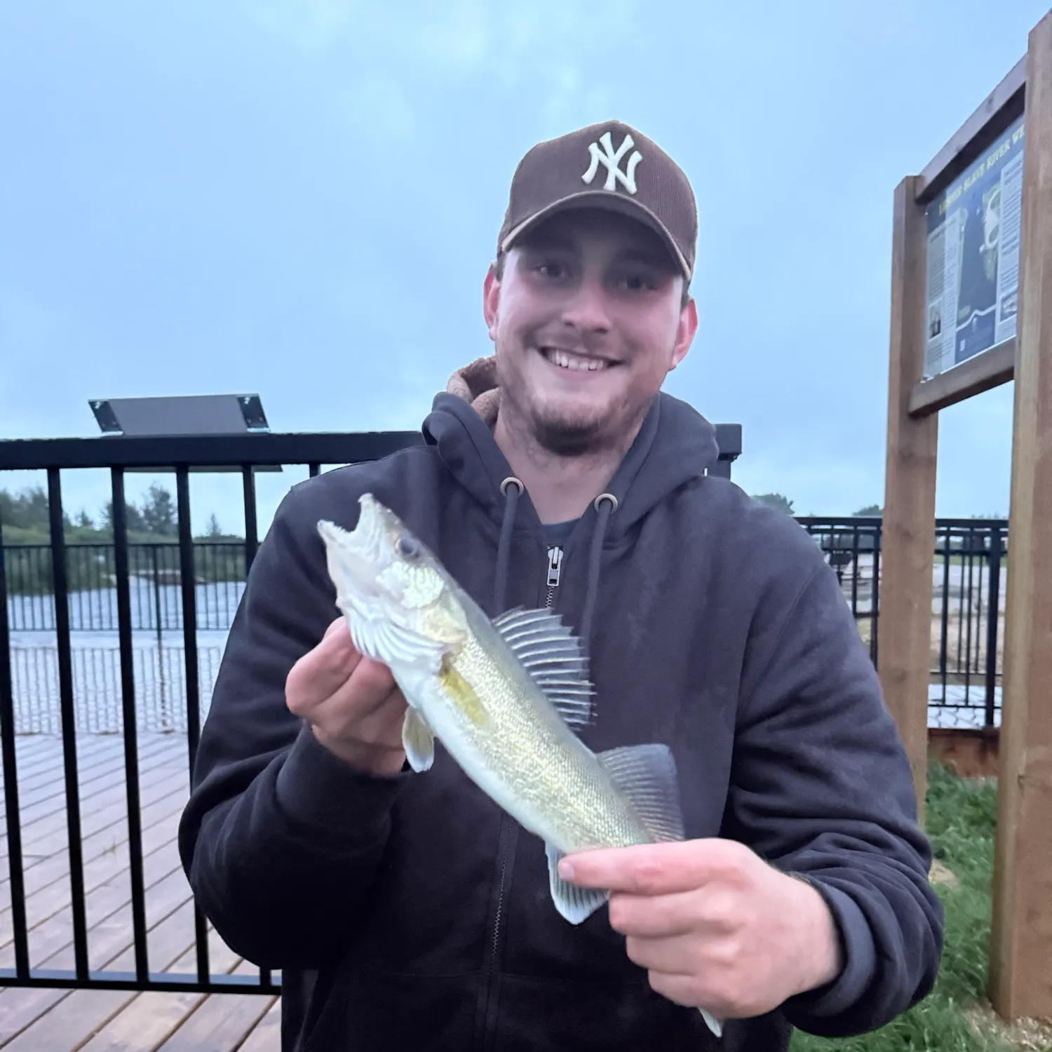 Walleye caught on Fishbrain
