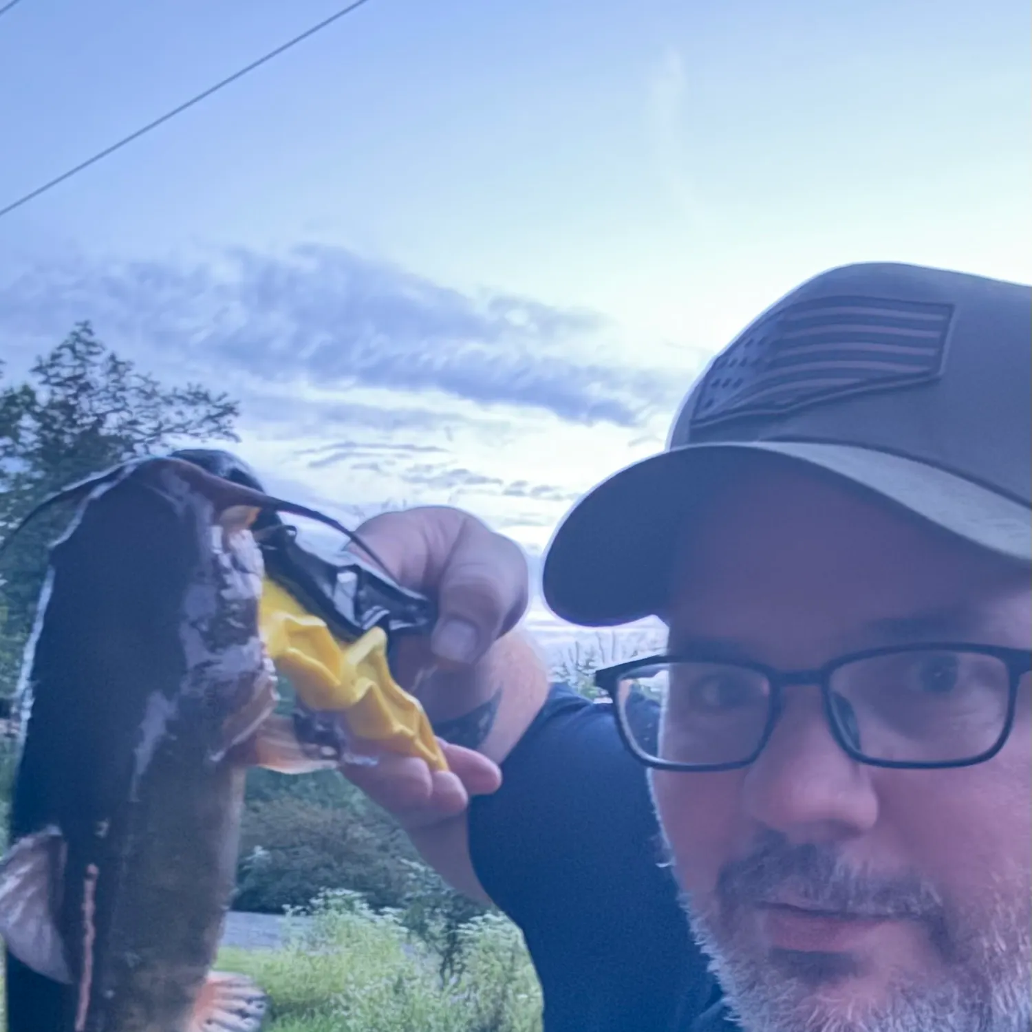 Black bullhead caught on Fishbrain