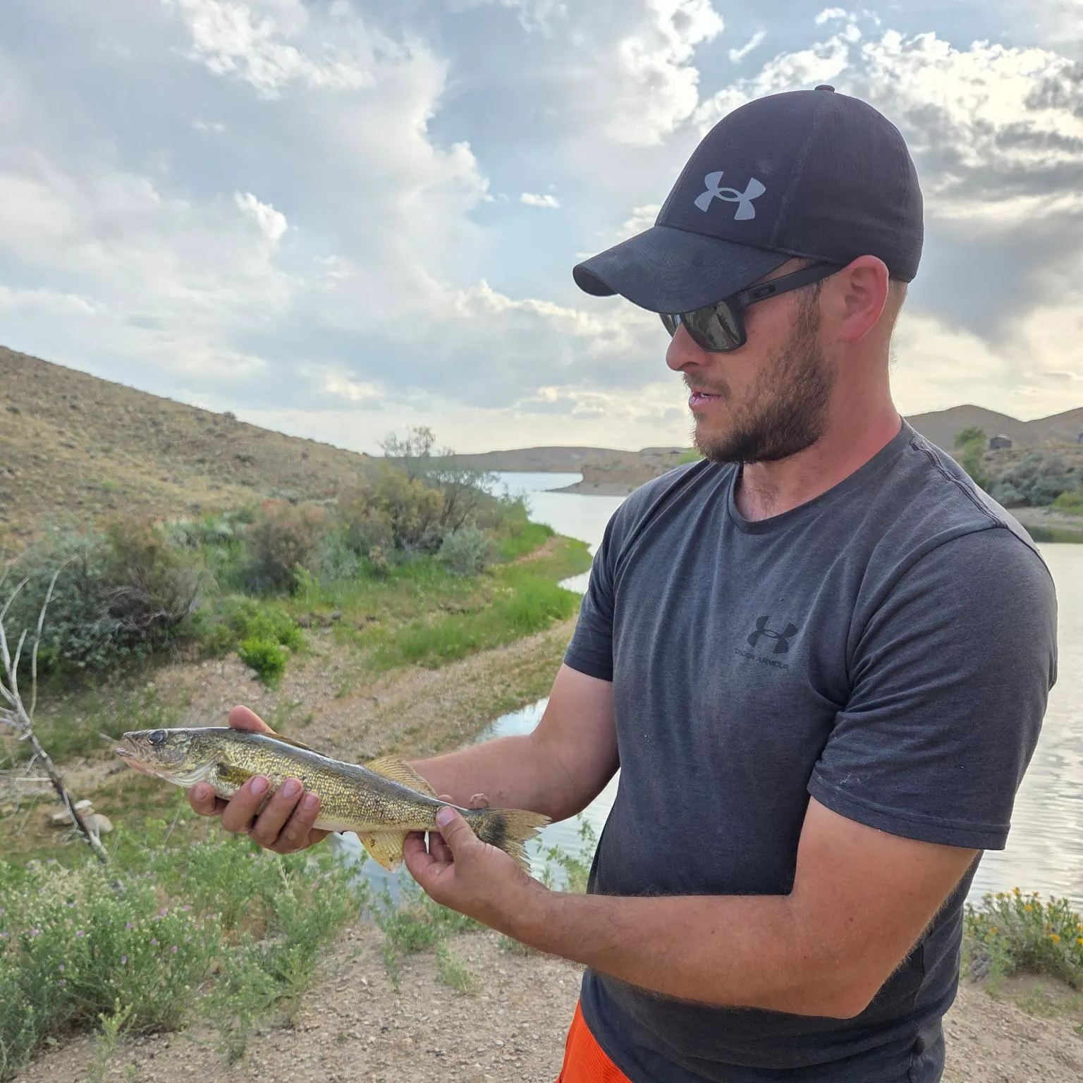 The most recent Saugeye catches on Fishbrain