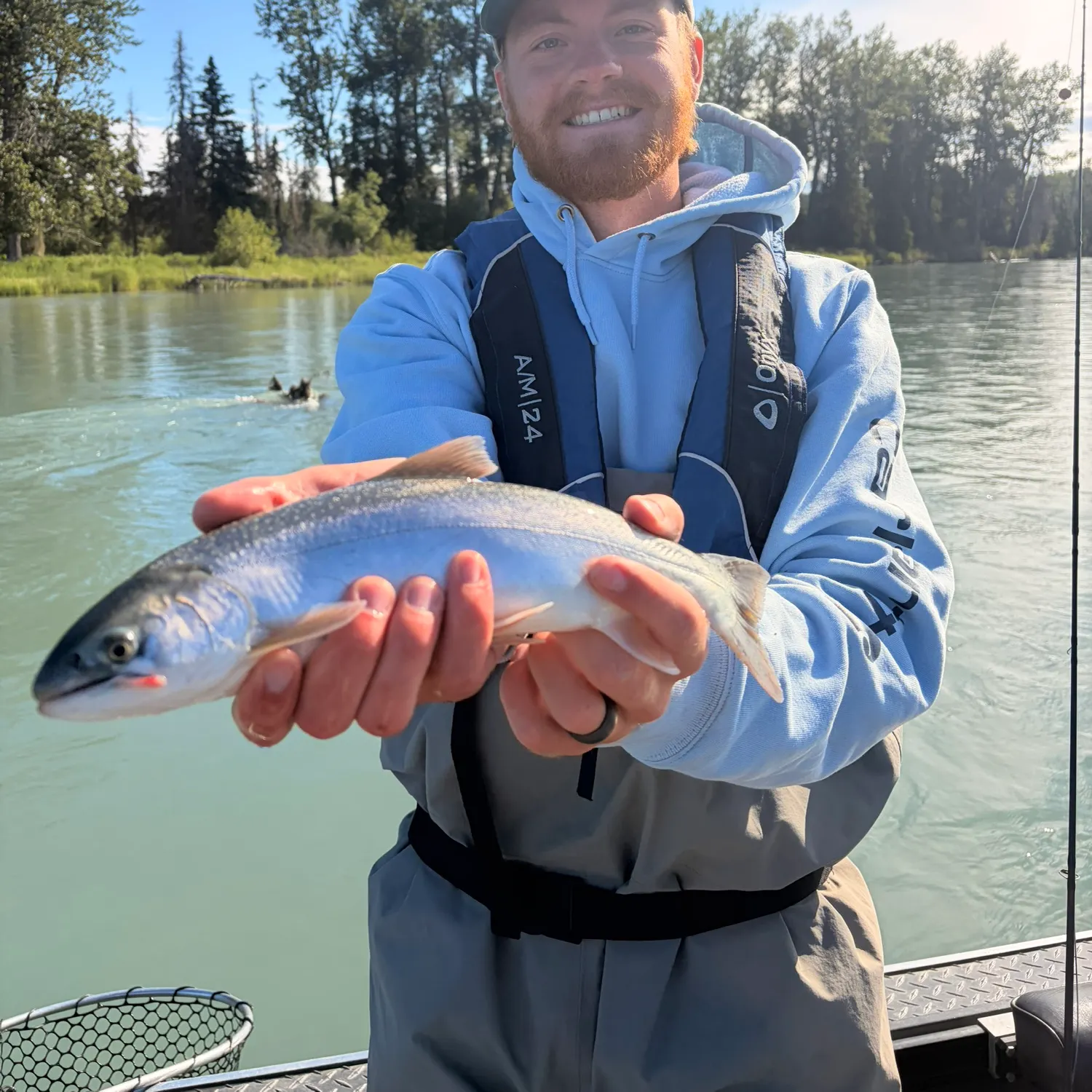 The most recent Dolly varden catches on Fishbrain