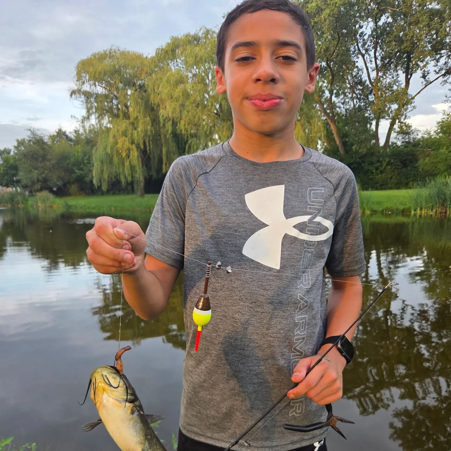 Yellow bullhead caught on Fishbrain