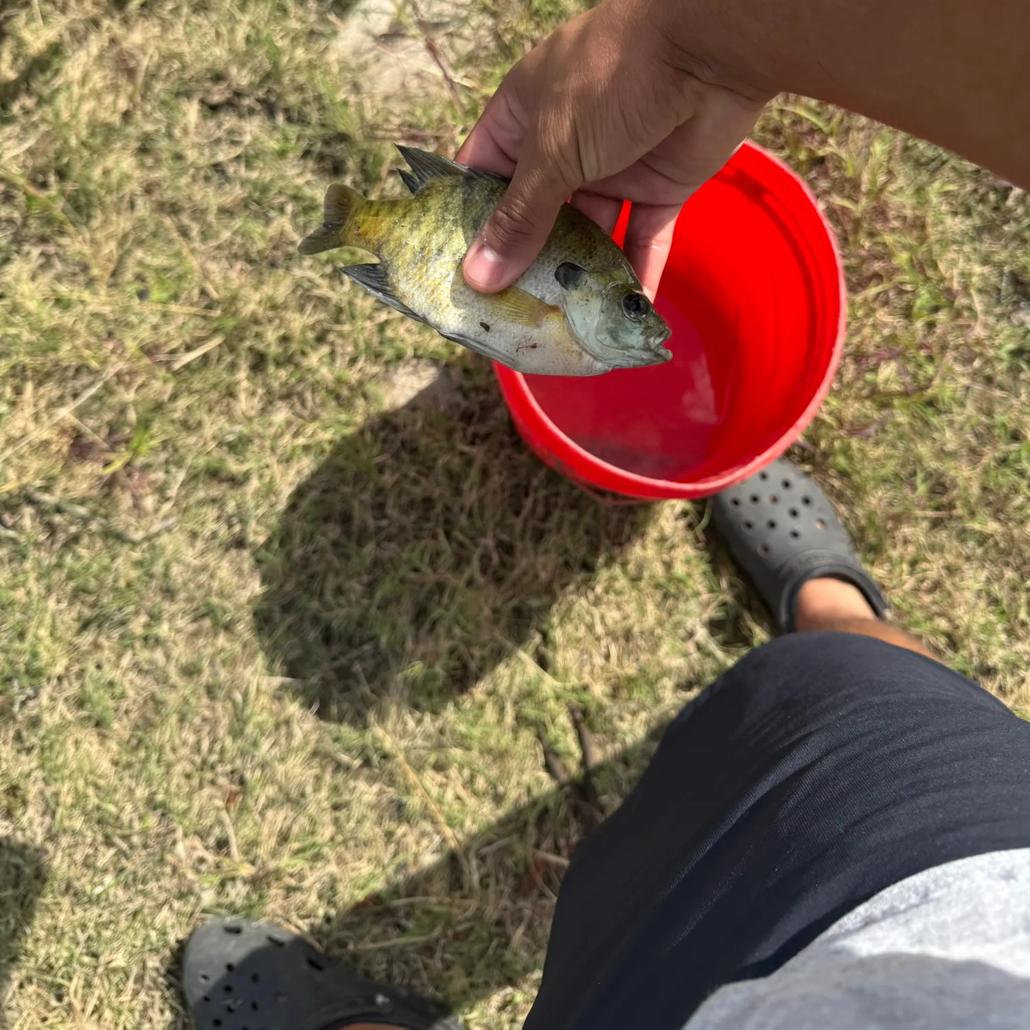 catch