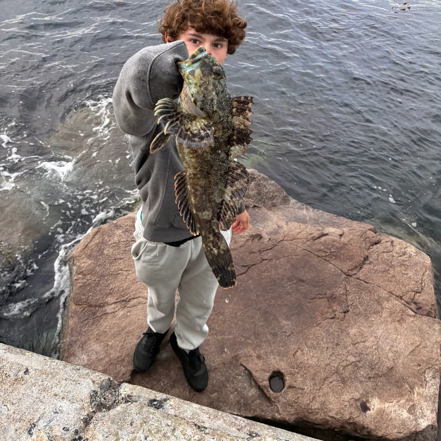 The most recent Cabezon catches on Fishbrain