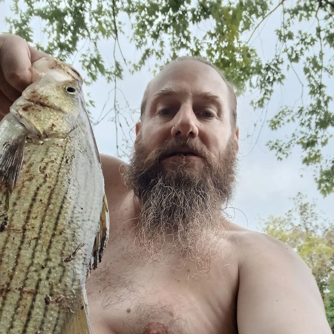 Wiper caught on Fishbrain