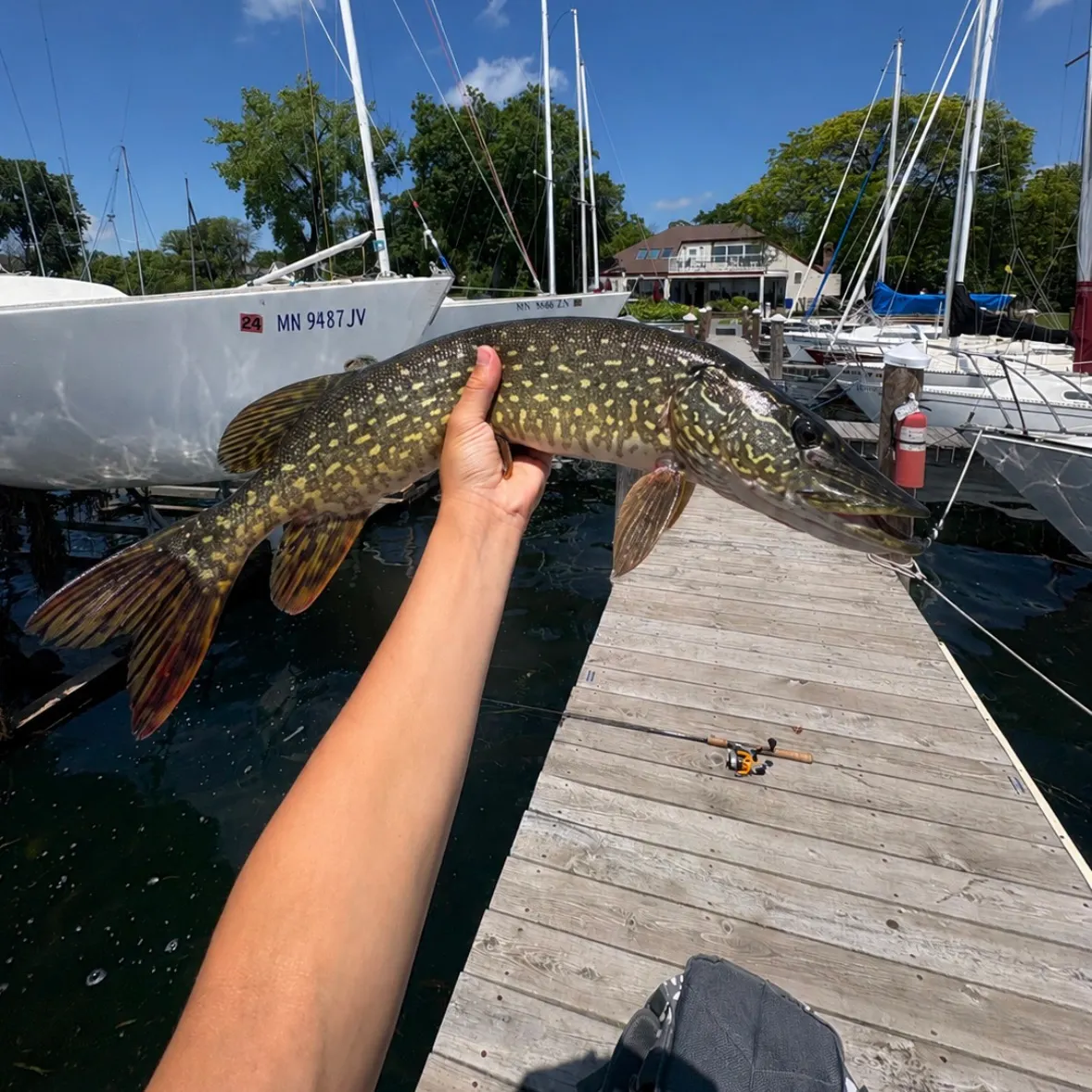 catch
