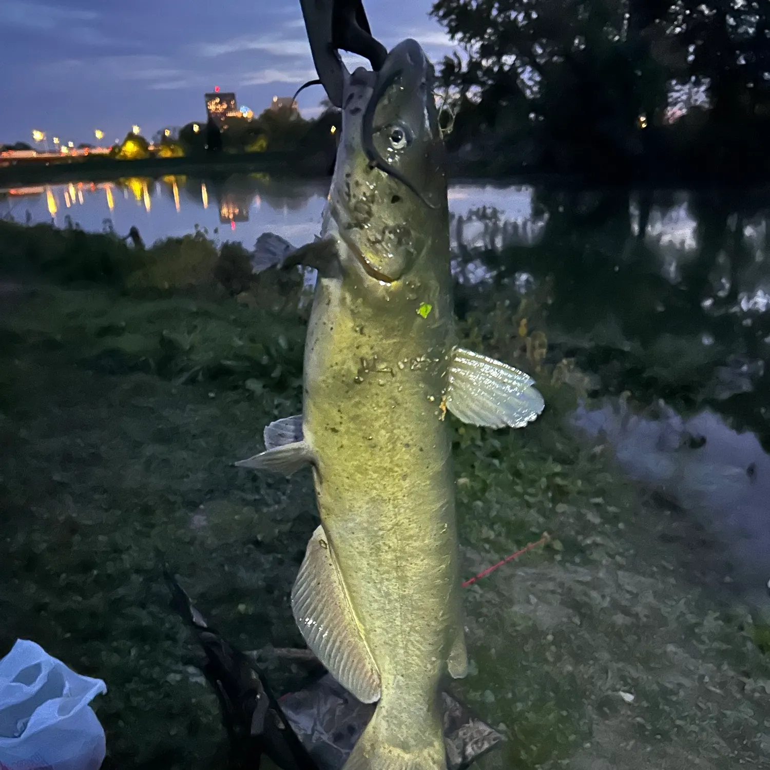 catch