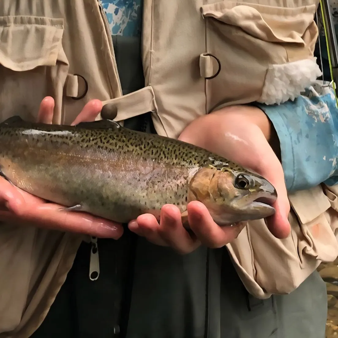 Rainbow trout caught on Fishbrain