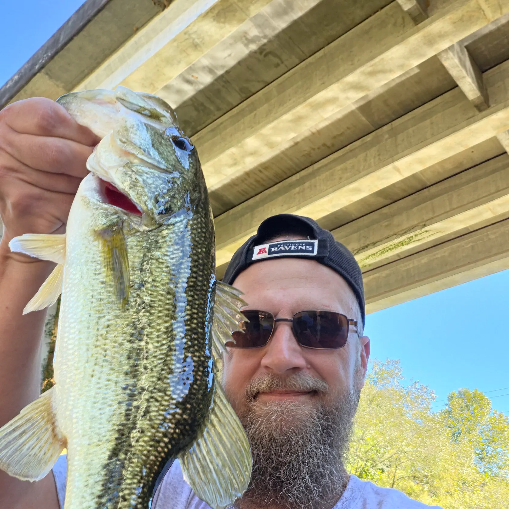 Largemouth bass caught on Fishbrain