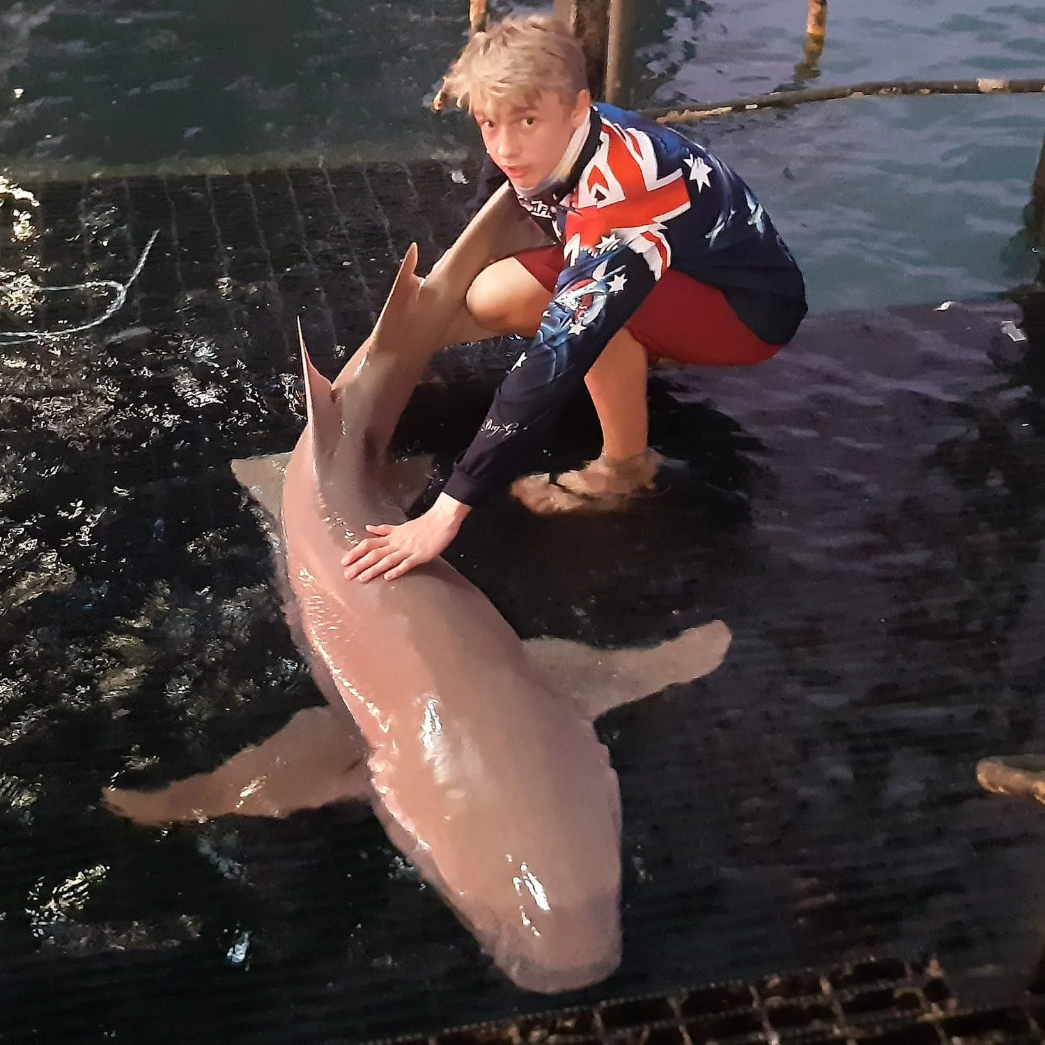 The most recent Tawny nurse shark catches on Fishbrain