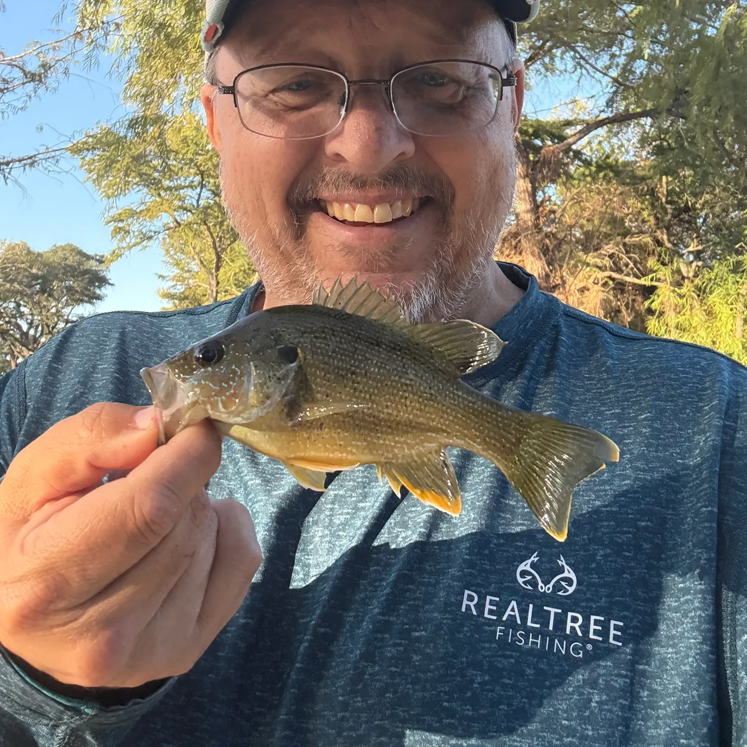 Green sunfish caught on Fishbrain