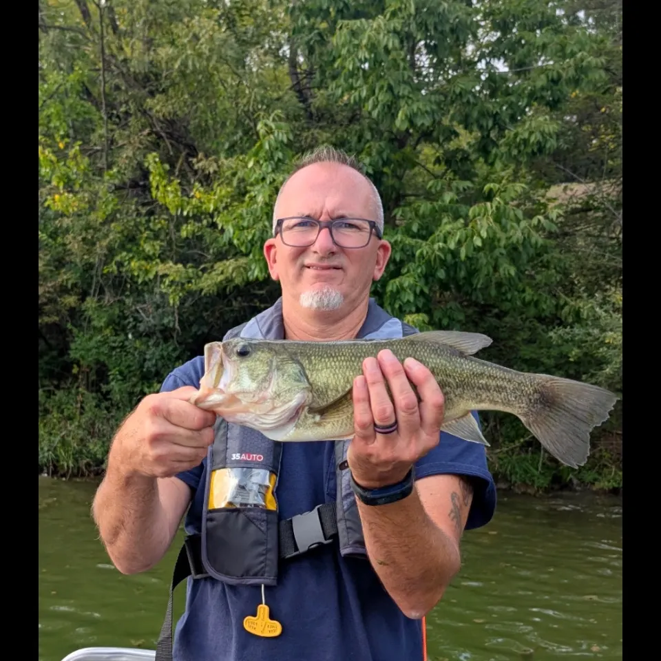 Largemouth bass caught on Fishbrain