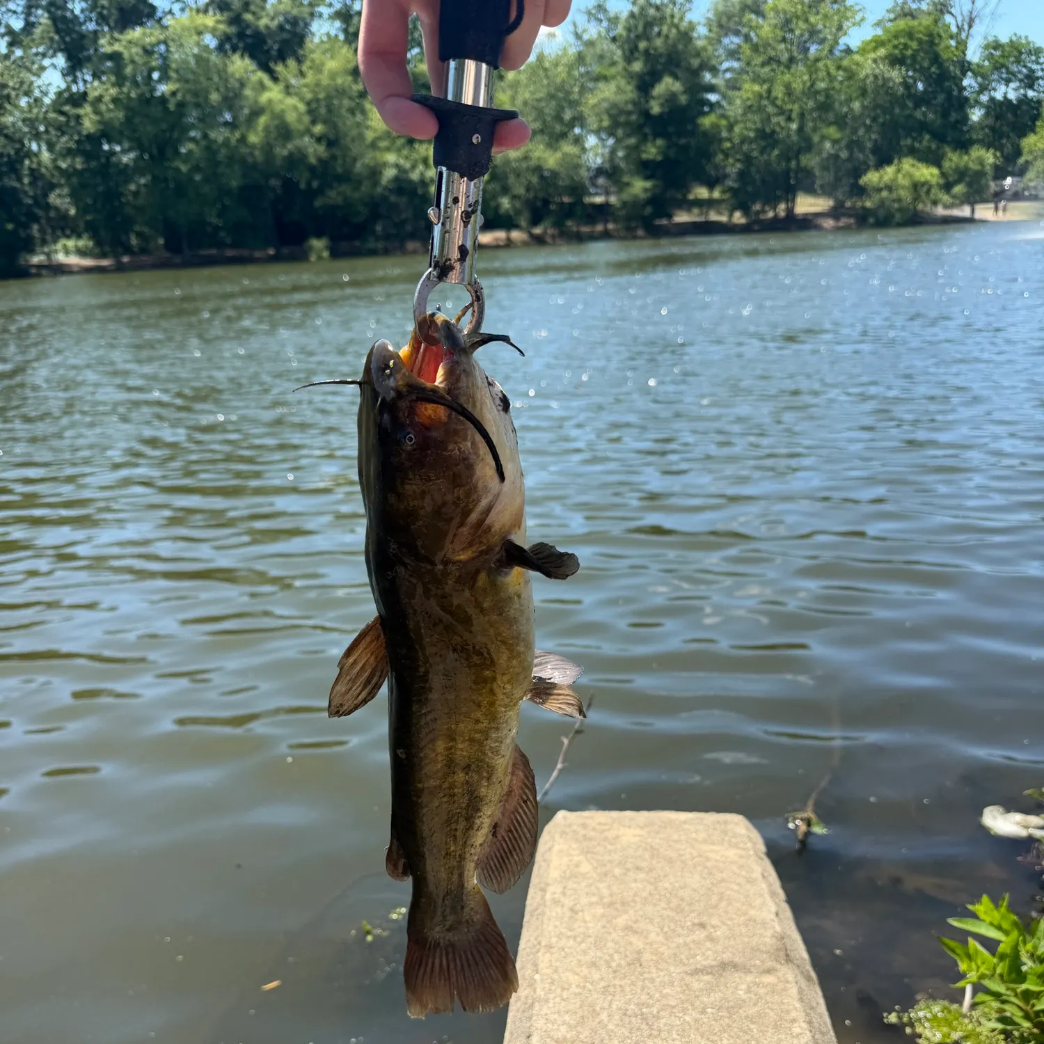 catch