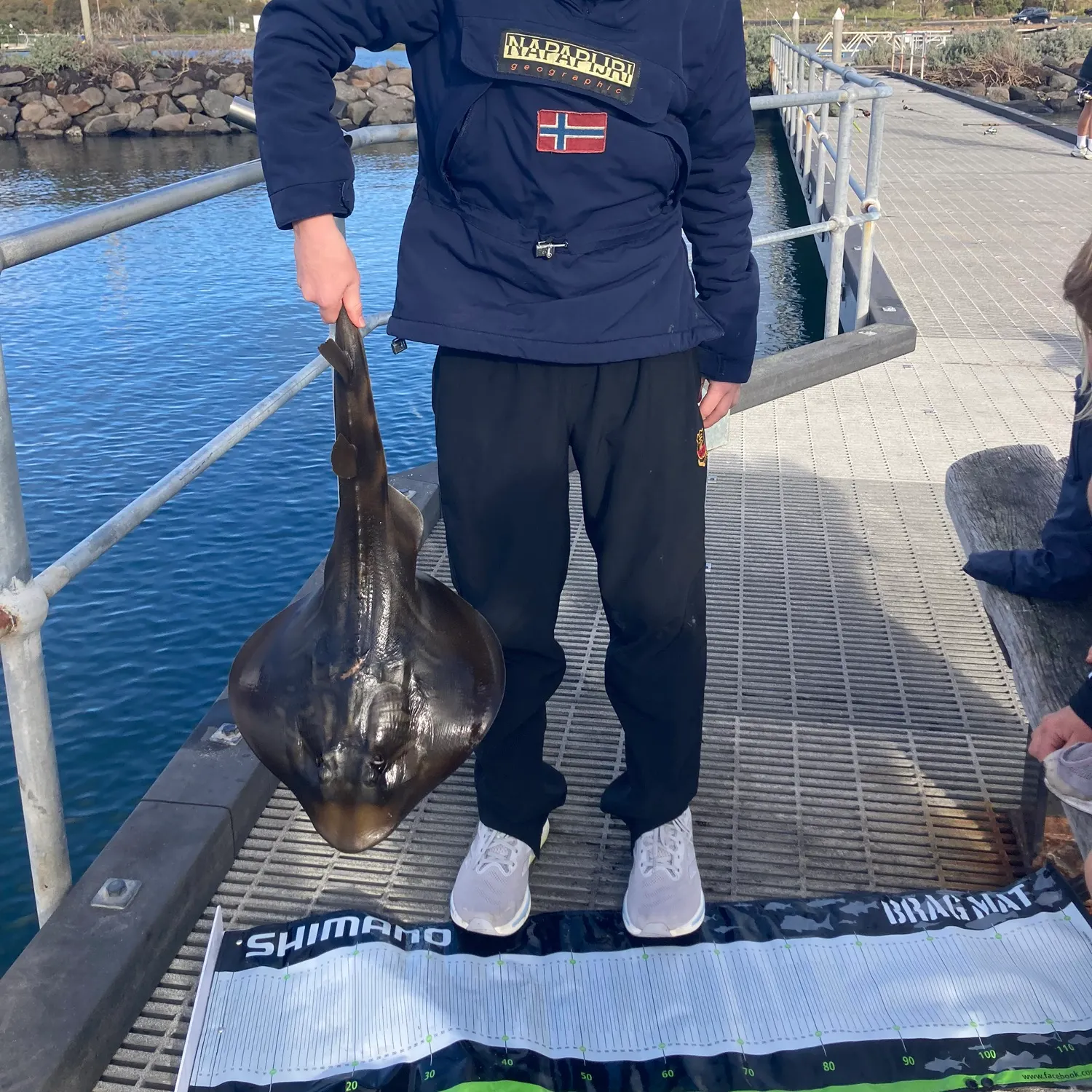 The most recent Southern fiddler catches on Fishbrain