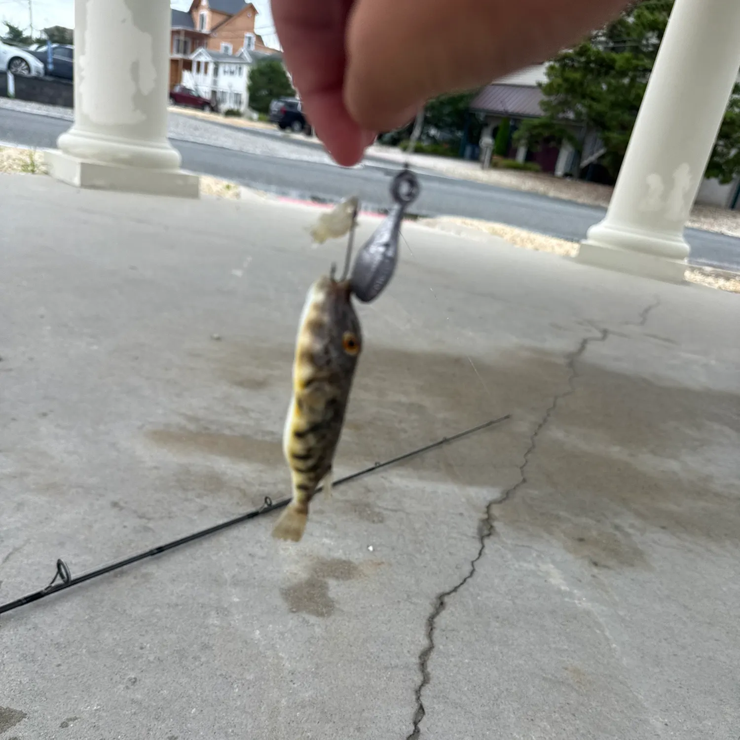 catch