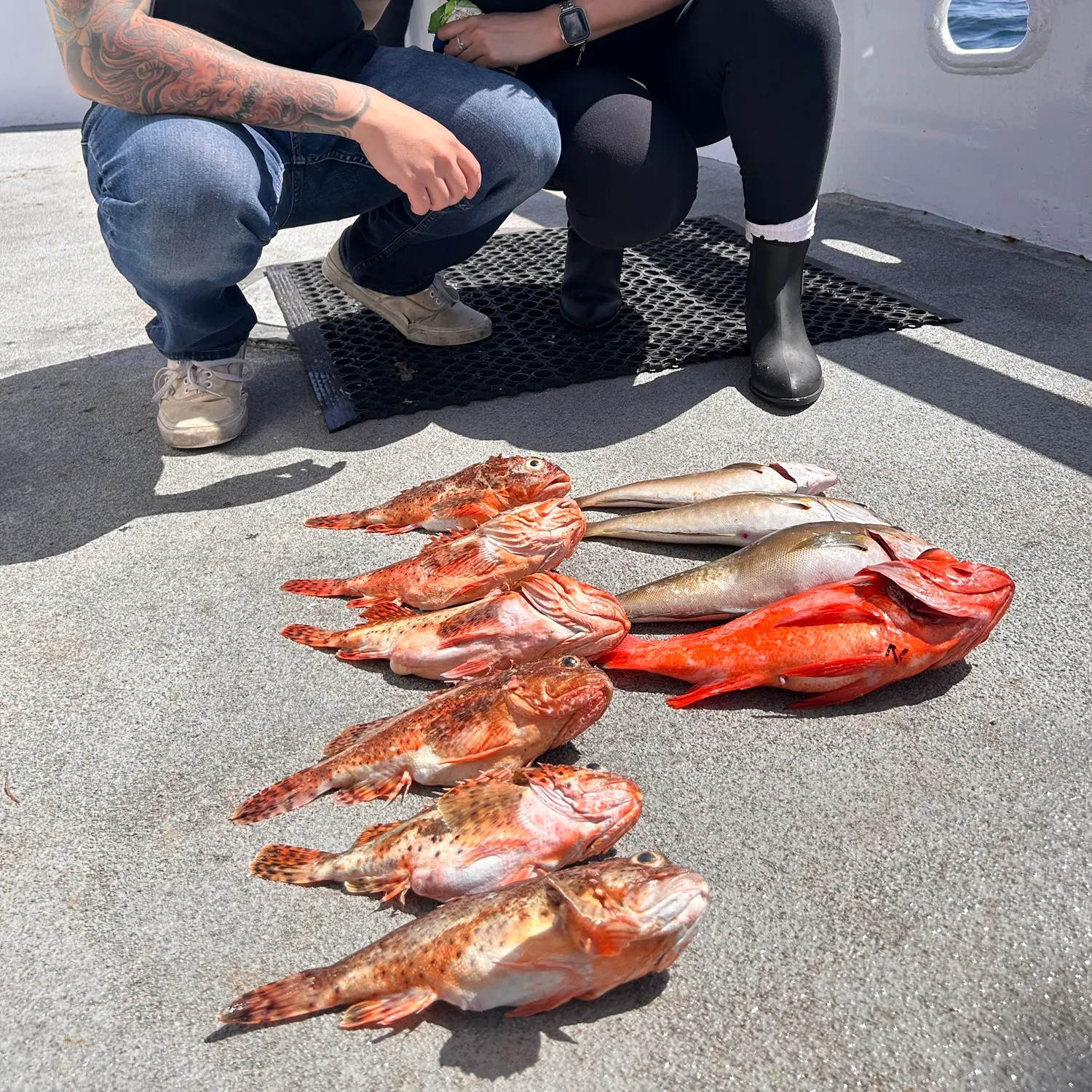 recently logged catches