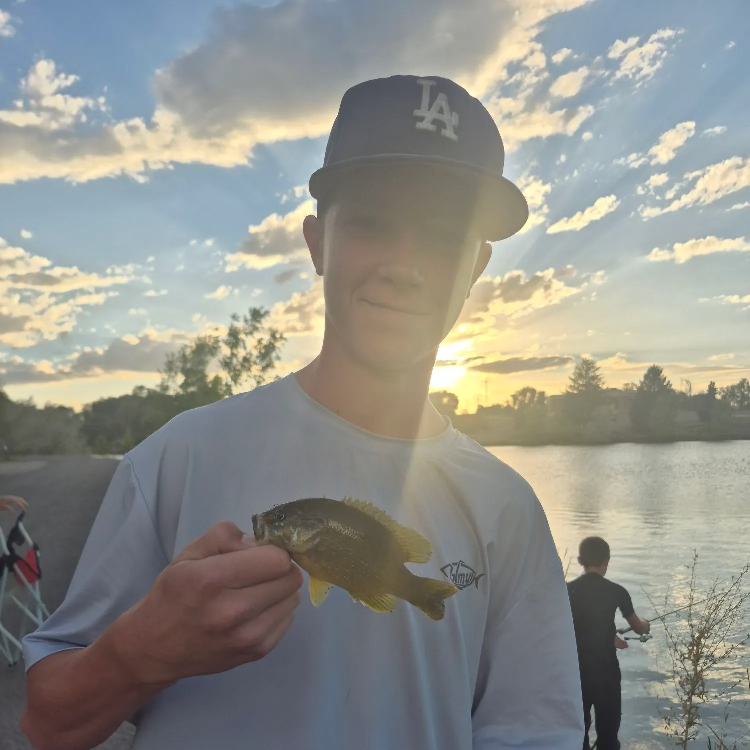 Green sunfish caught on Fishbrain
