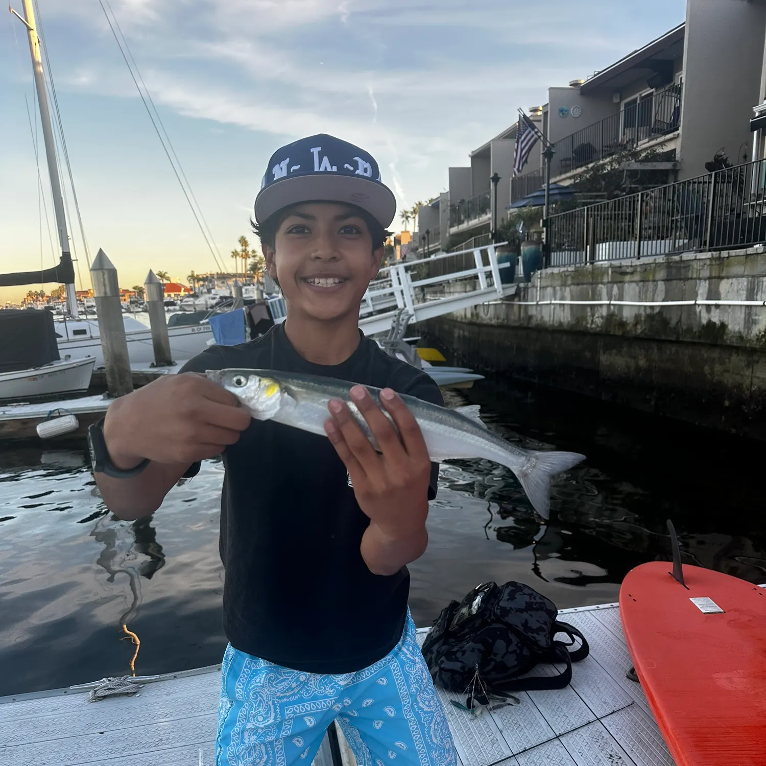 The most recent Surf smelt catches on Fishbrain