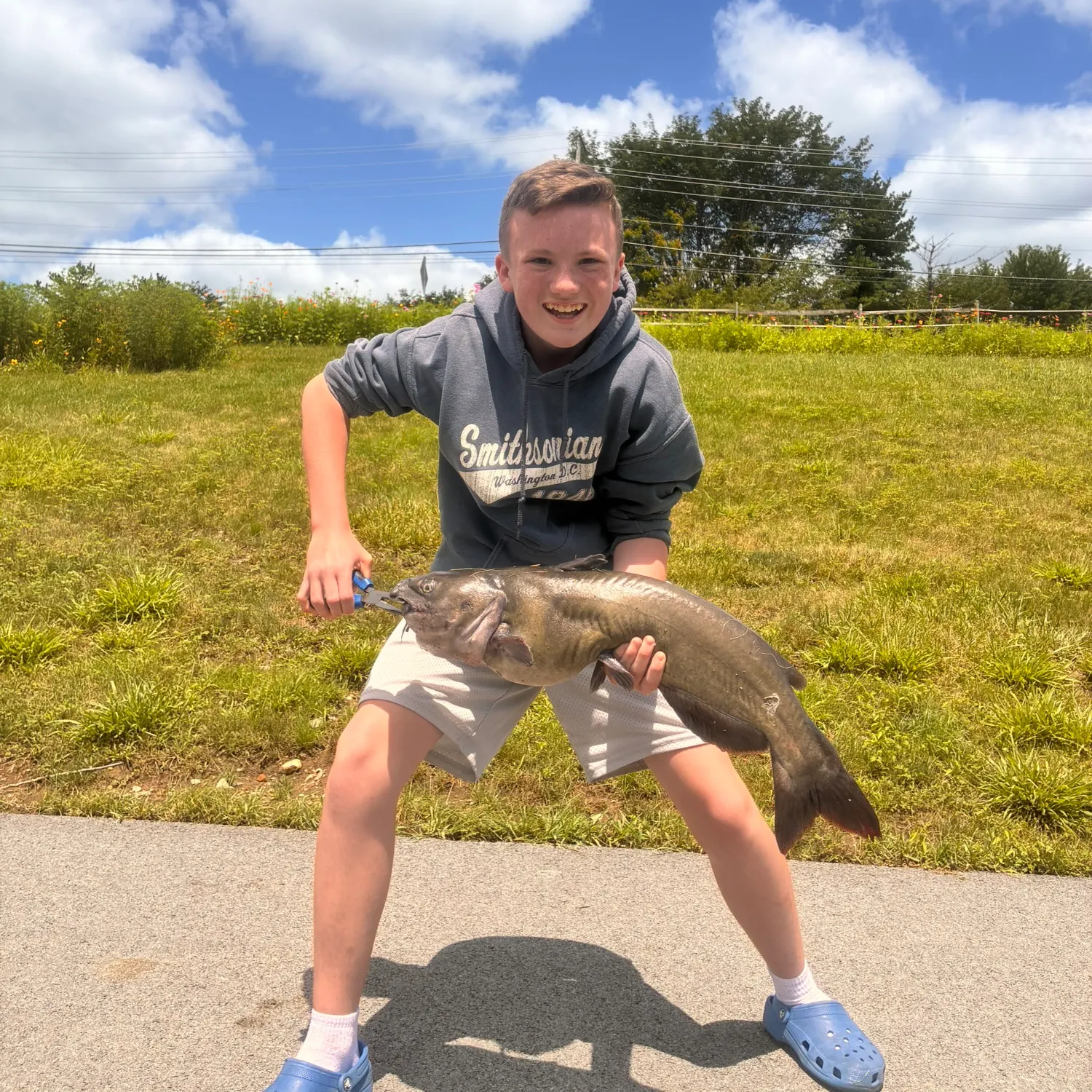Channel catfish caught on Fishbrain