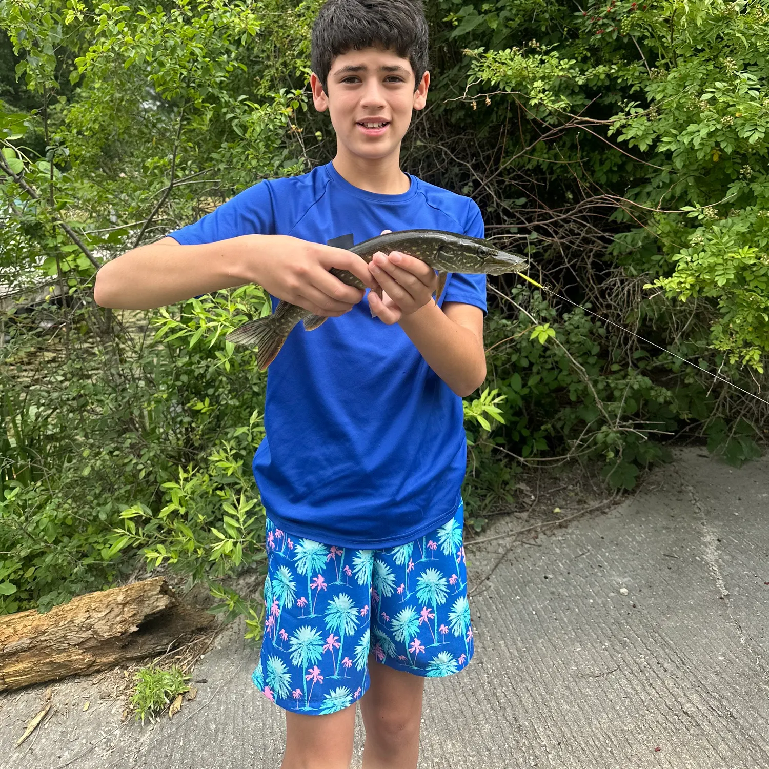 recently logged catches