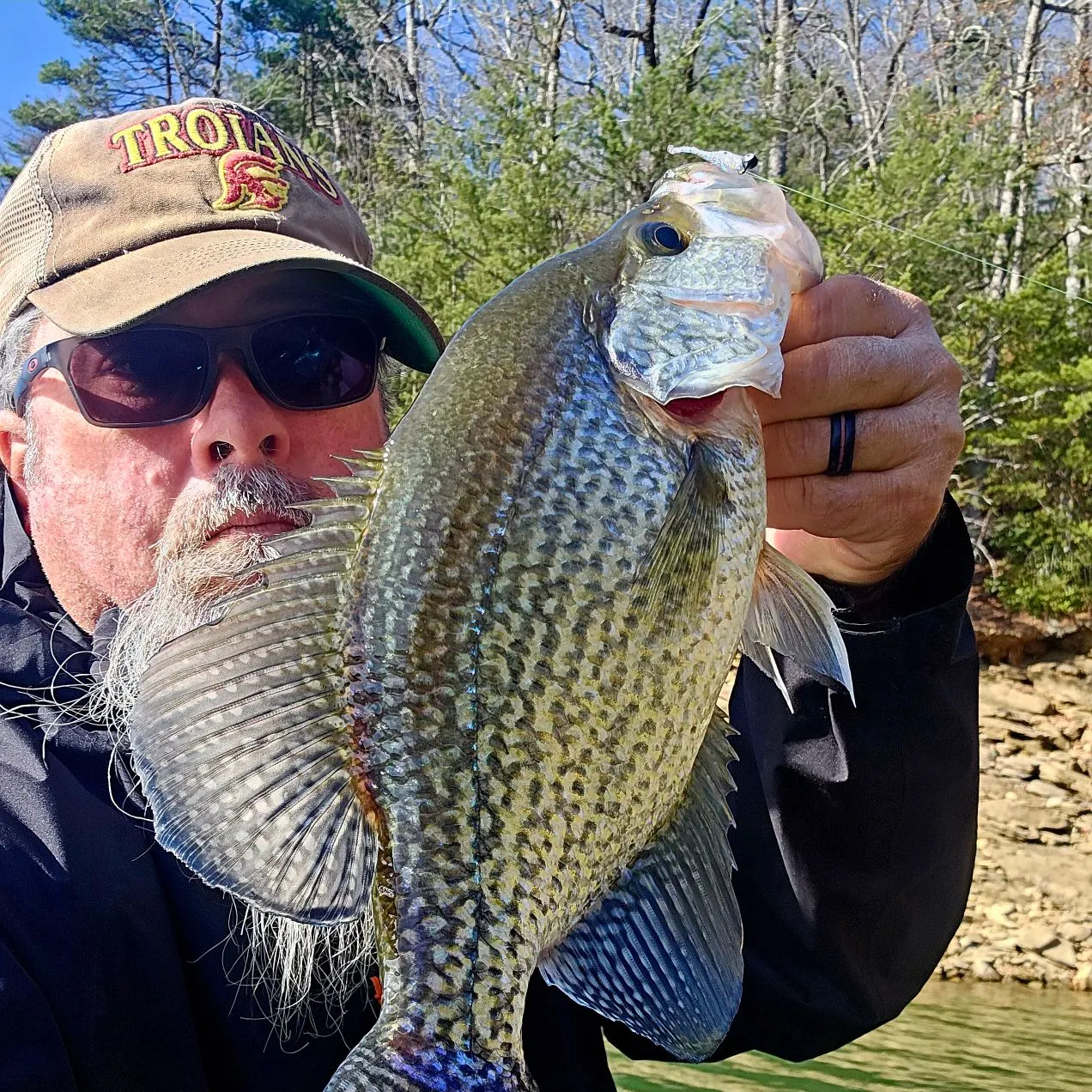 The most recent Black crappie catches on Fishbrain