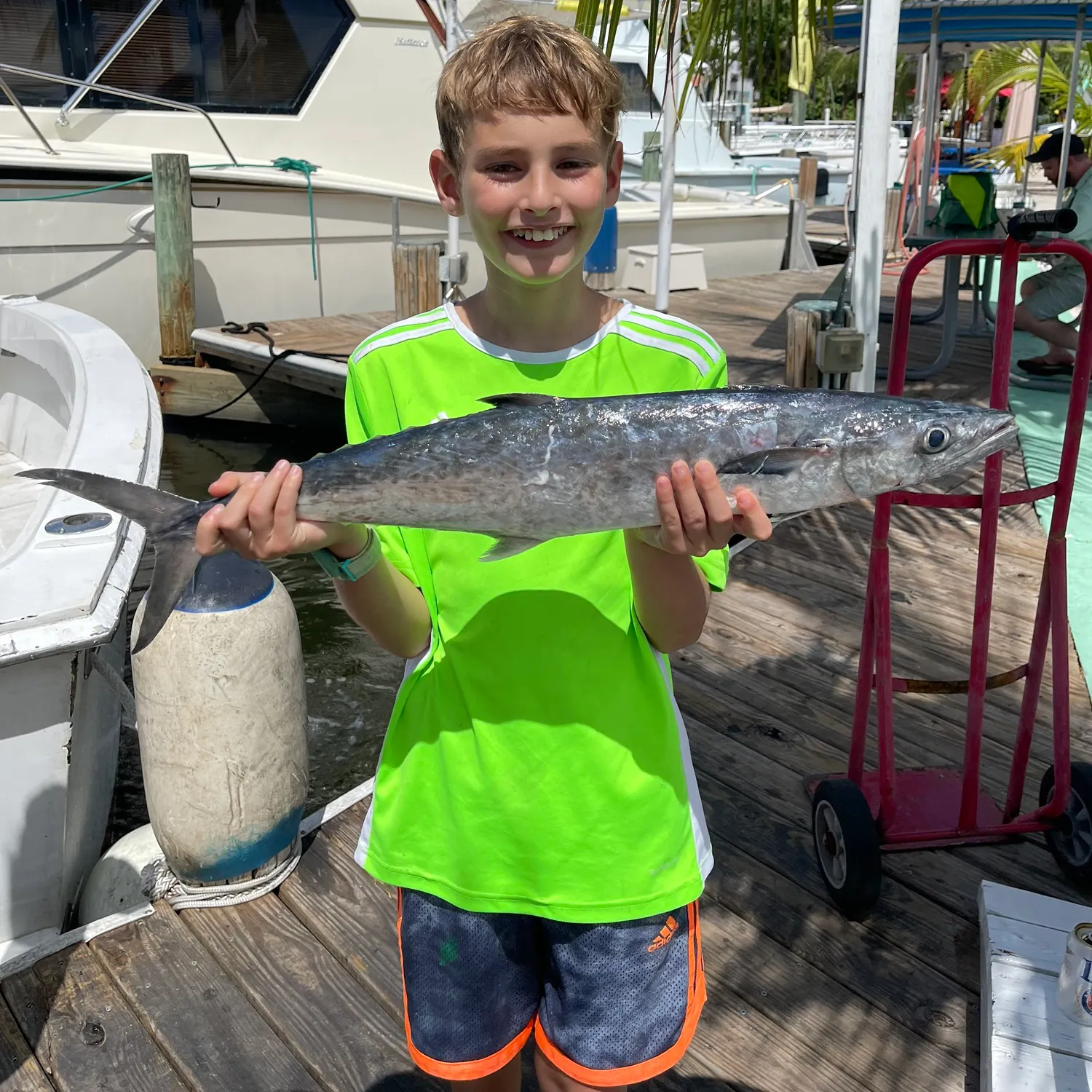 The most recent King mackerel catches on Fishbrain