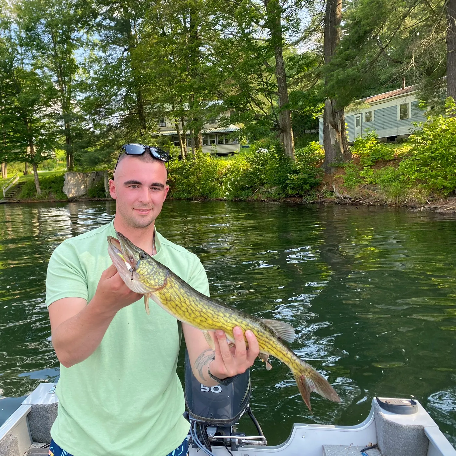 The most recent Chain pickerel catches on Fishbrain