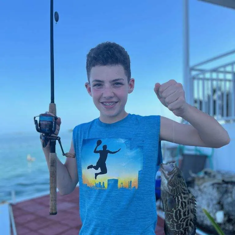 The most recent Gulf grouper catches on Fishbrain