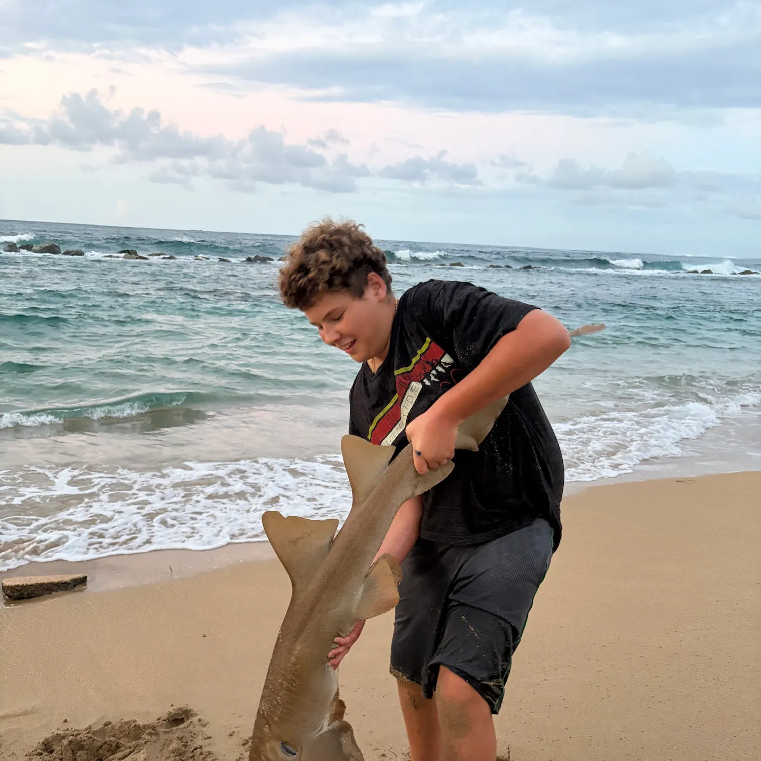 The most recent Nurse shark catches on Fishbrain
