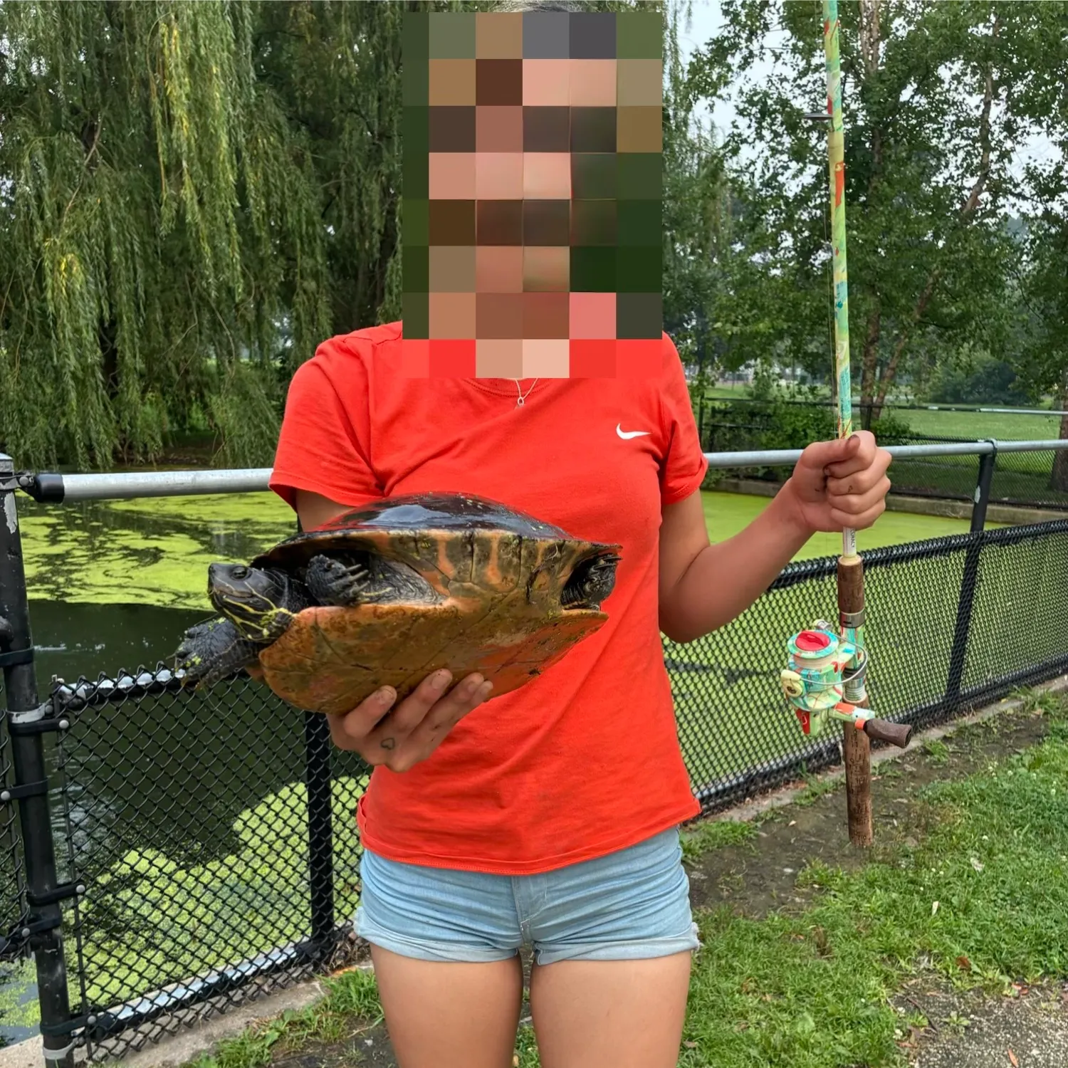 Pond slider turtle caught on Fishbrain