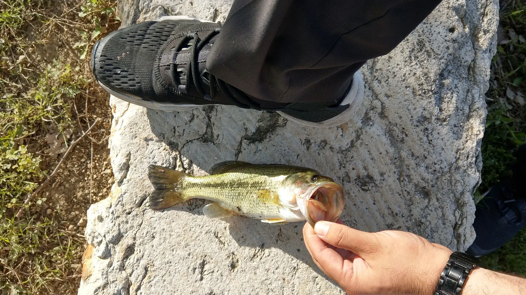 Post image from jessebarrientes