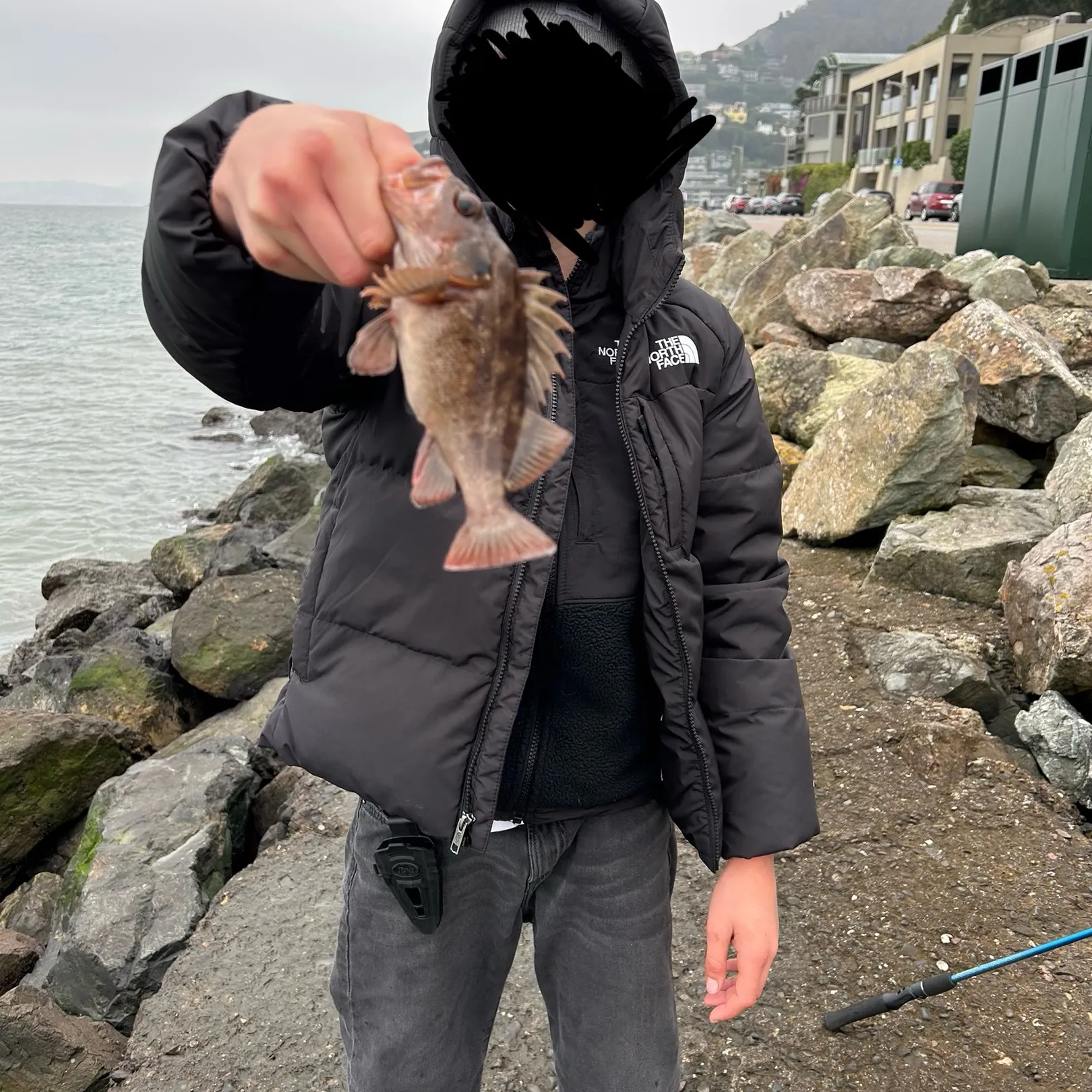 The most recent Copper rockfish catches on Fishbrain