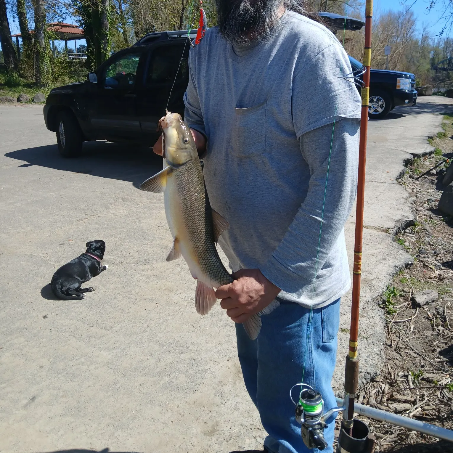 The most recent Klamath largescale sucker catches on Fishbrain