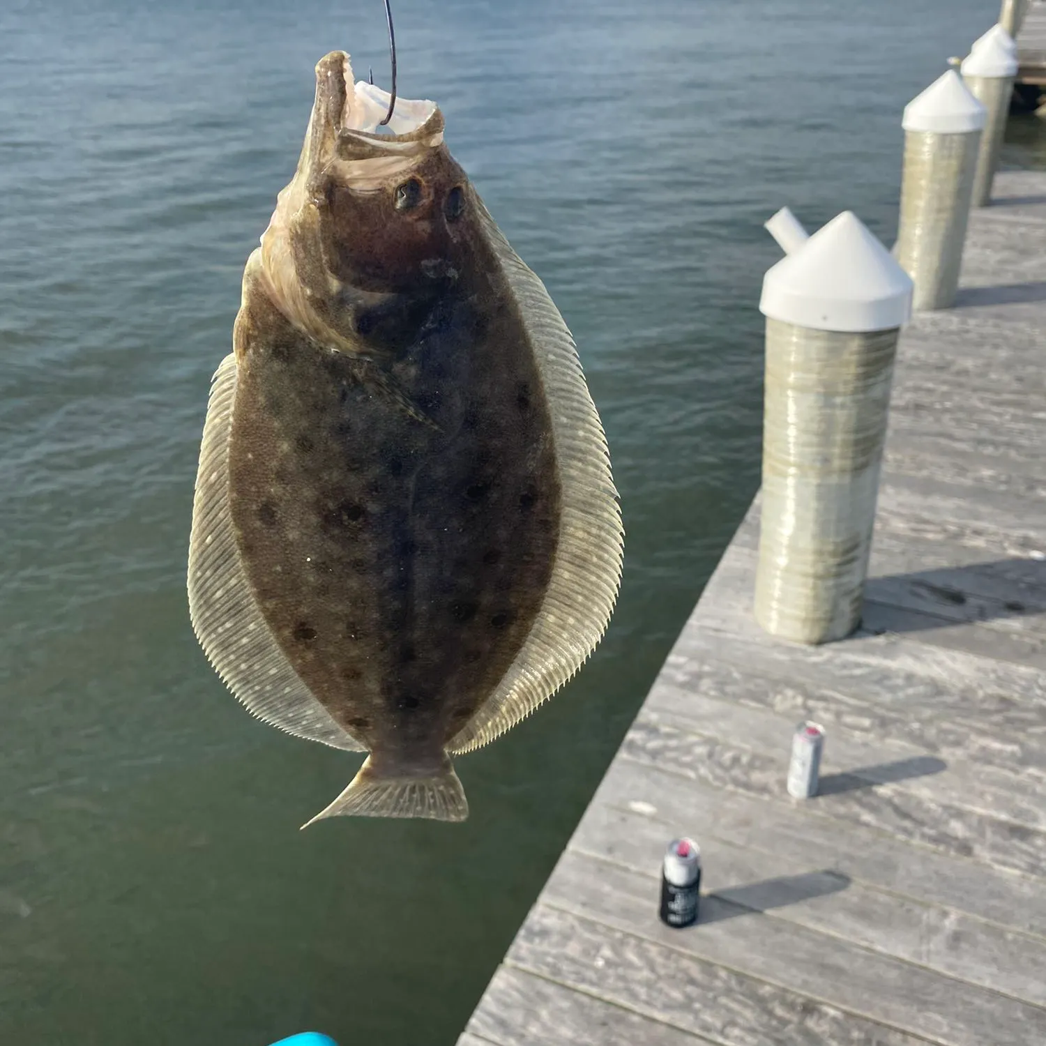 angler catch