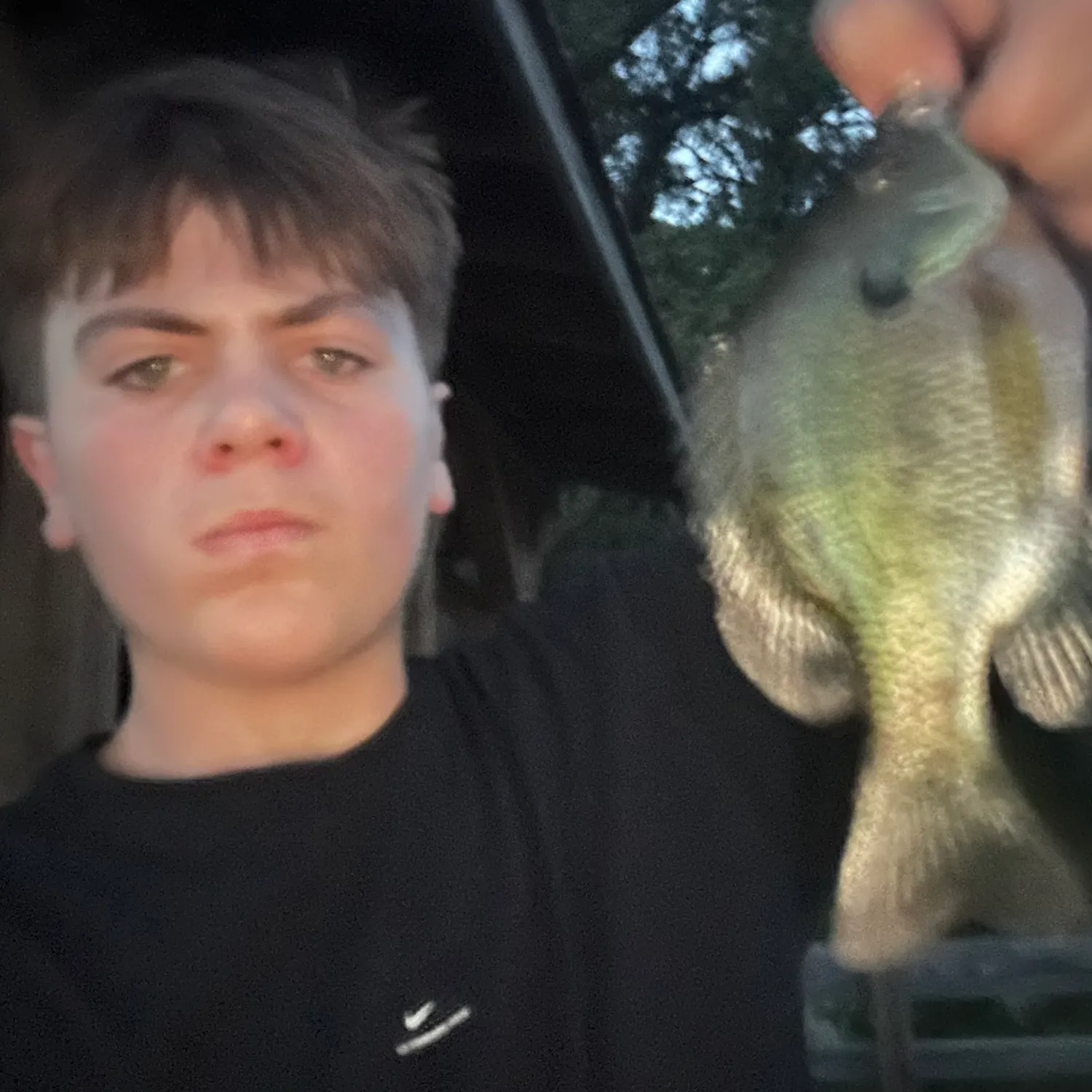 Bluegill caught on Fishbrain
