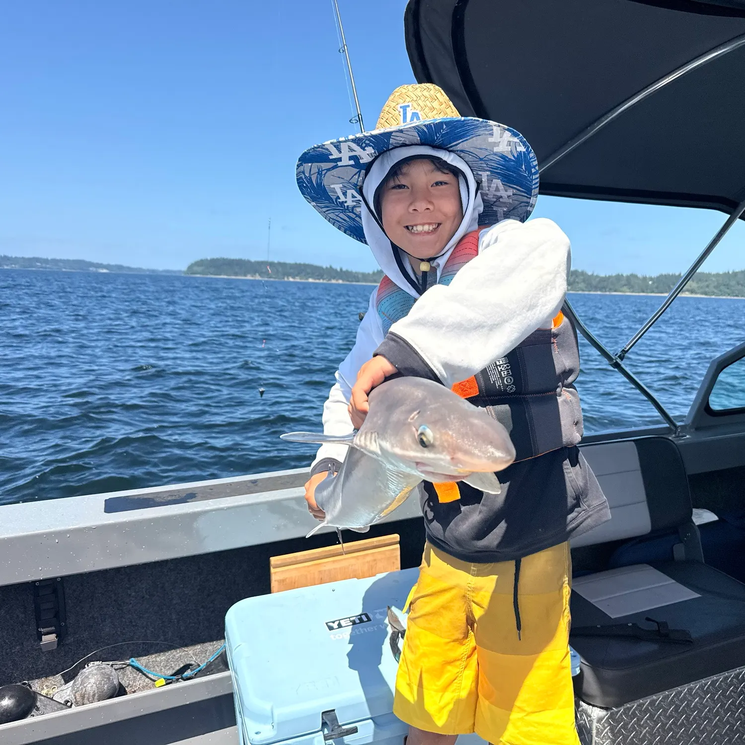 The most recent Pacific spiny dogfish catches on Fishbrain
