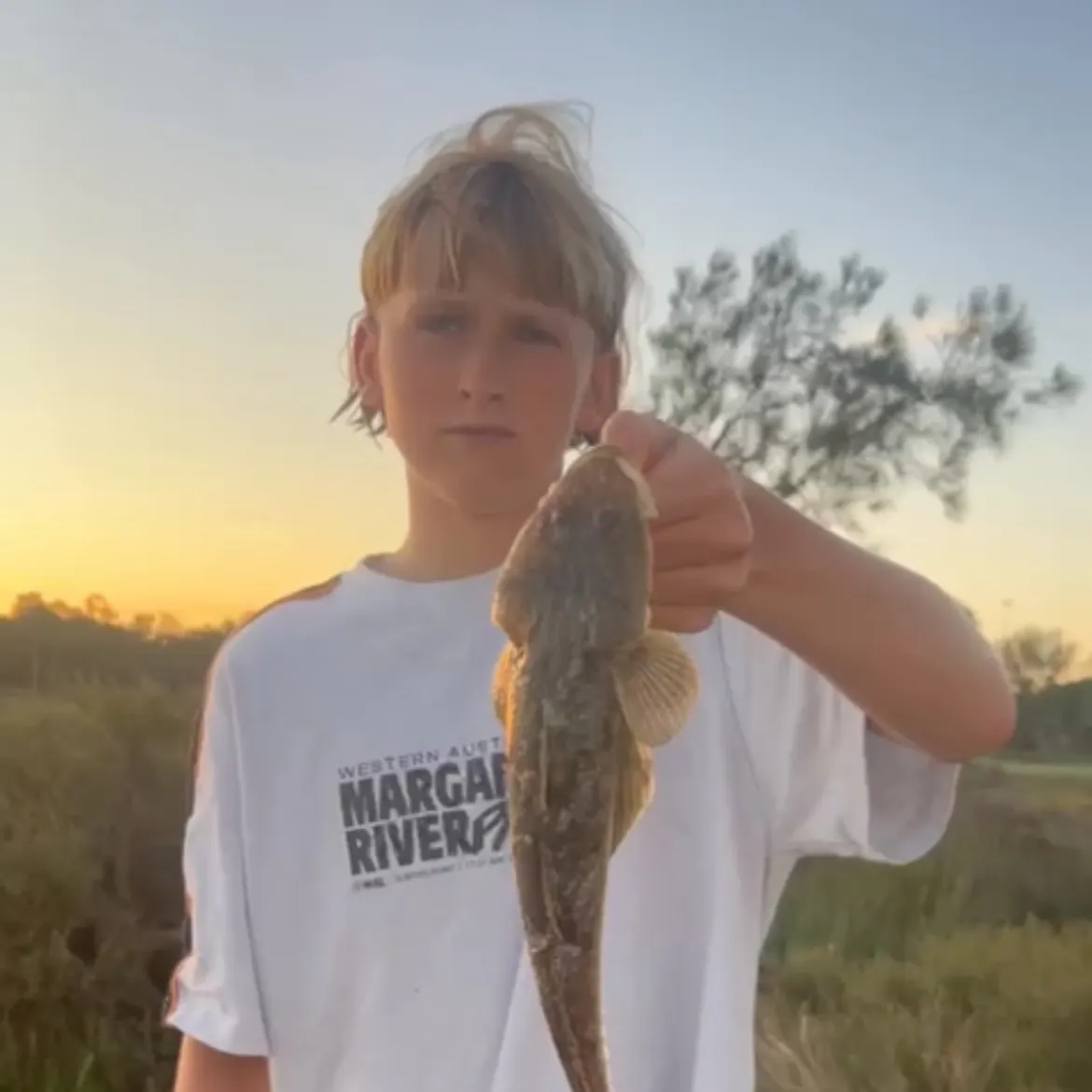 The most recent Rock flathead catches on Fishbrain