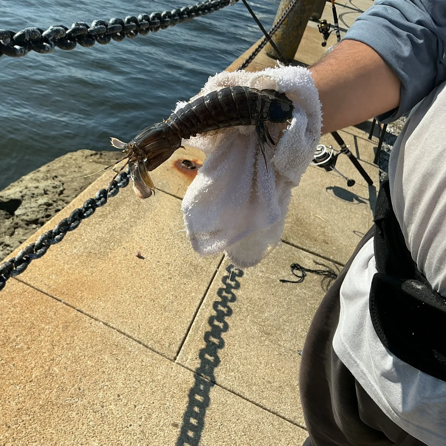 Fish caught on Fishbrain