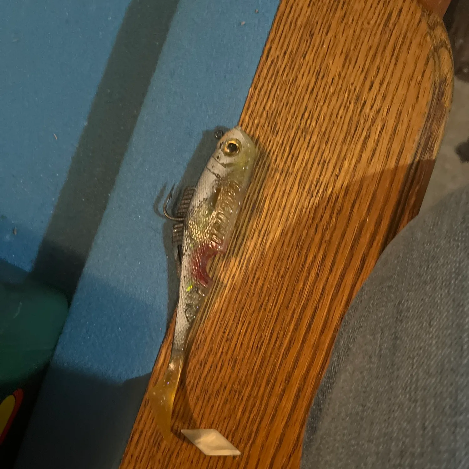 The most recent Atlantic bluefin tuna catches on Fishbrain