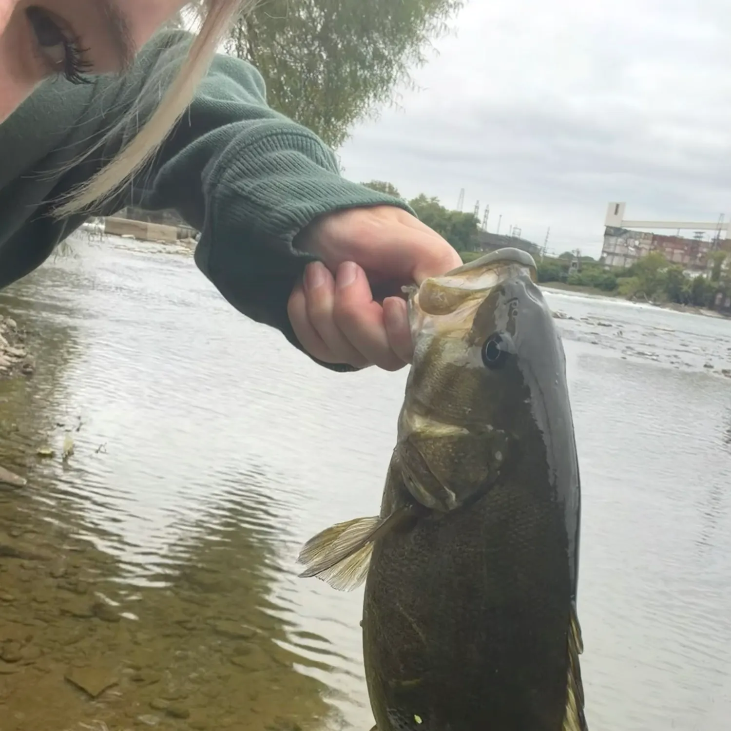 Smallmouth bass caught on Fishbrain