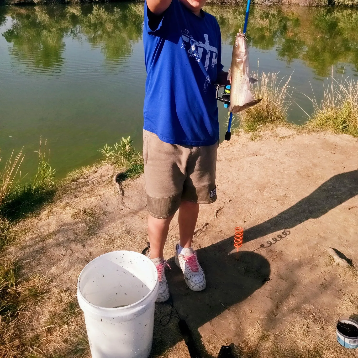 Channel catfish caught on Fishbrain