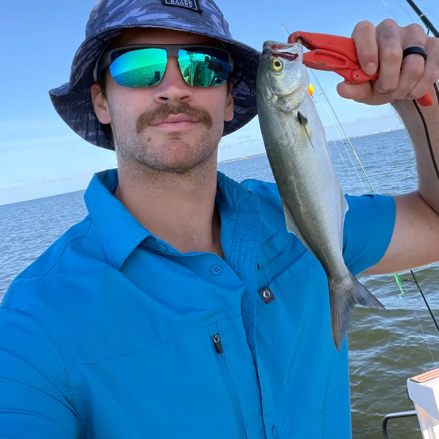 Bluefish caught on Fishbrain