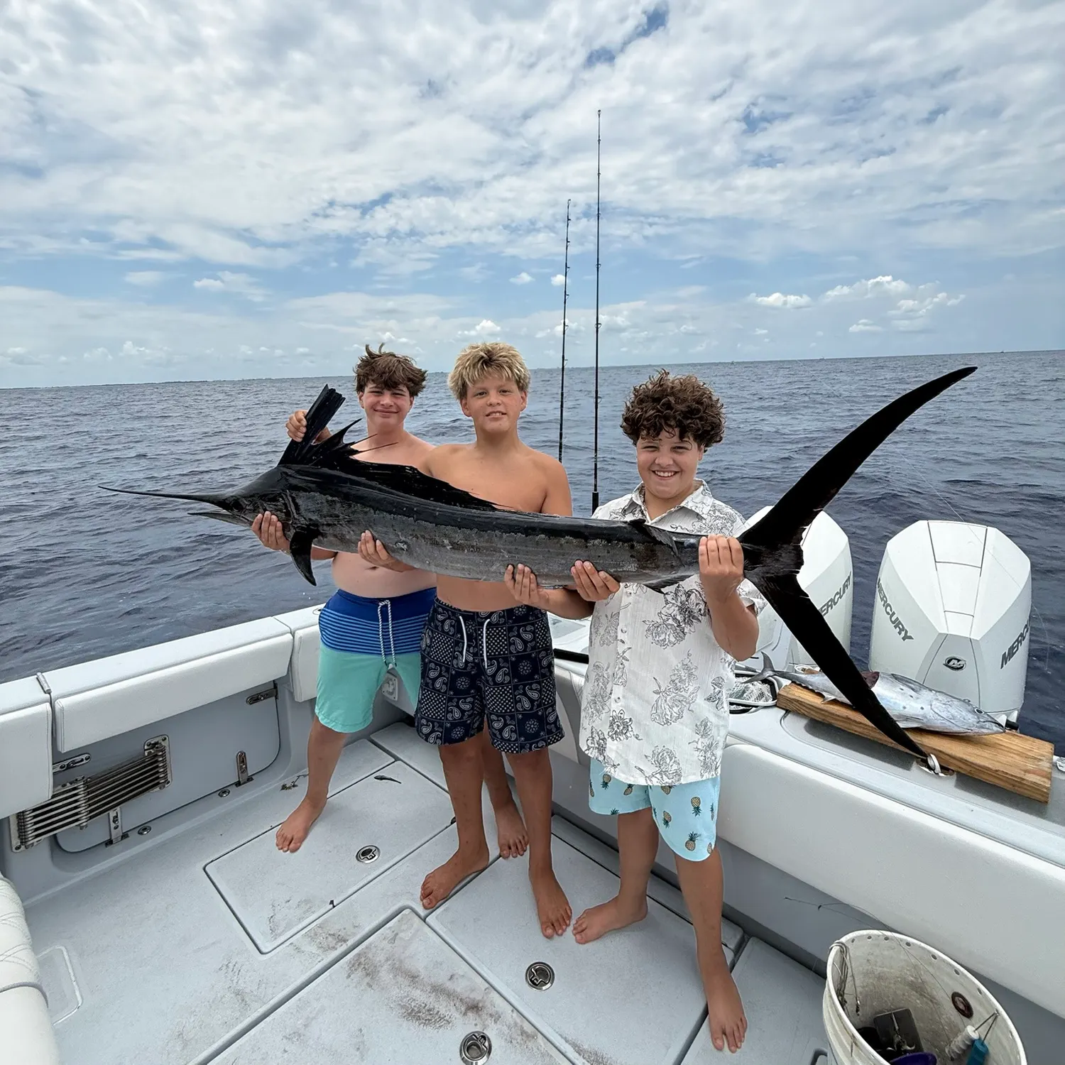 The most recent Atlantic sailfish catches on Fishbrain