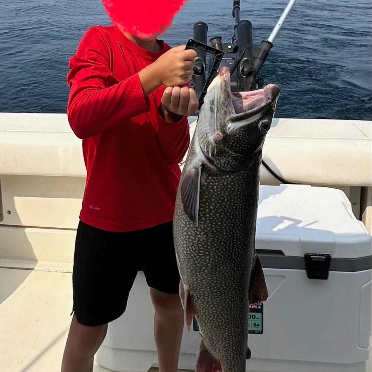 Lake char caught on Fishbrain