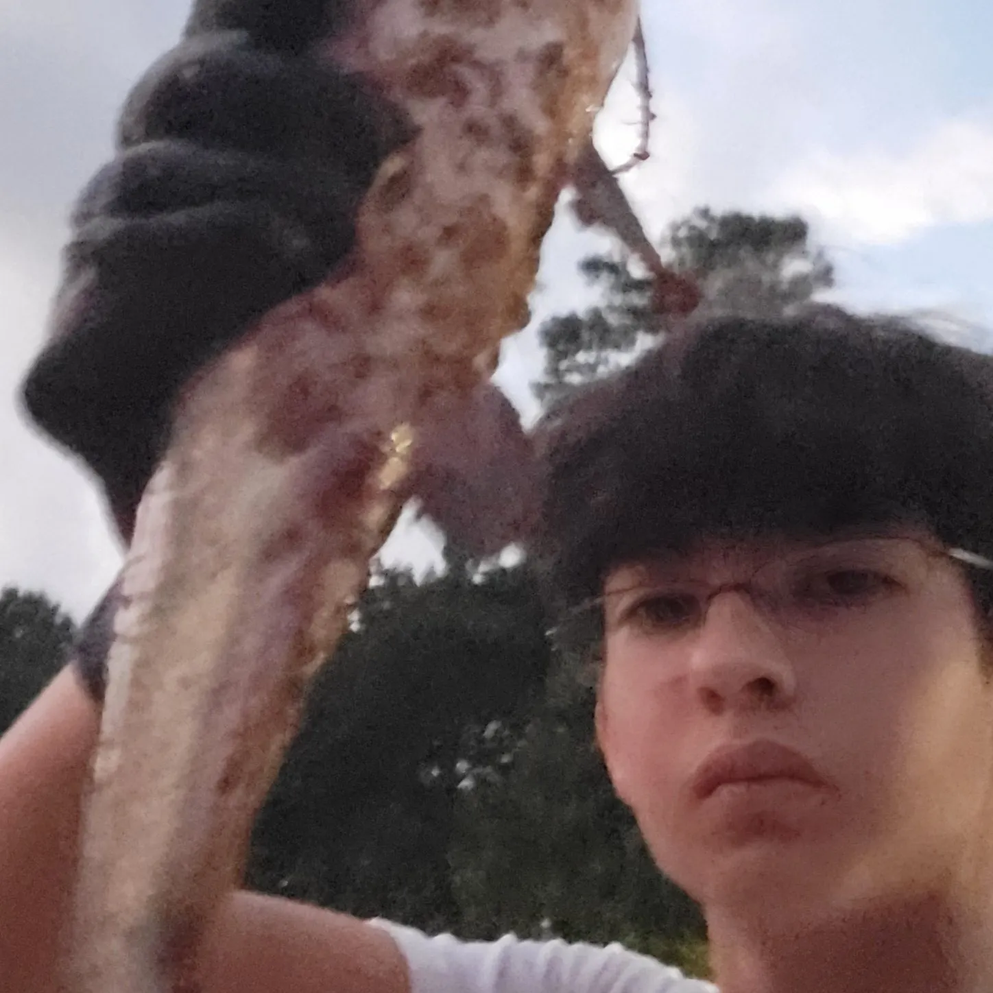 Channel catfish caught on Fishbrain