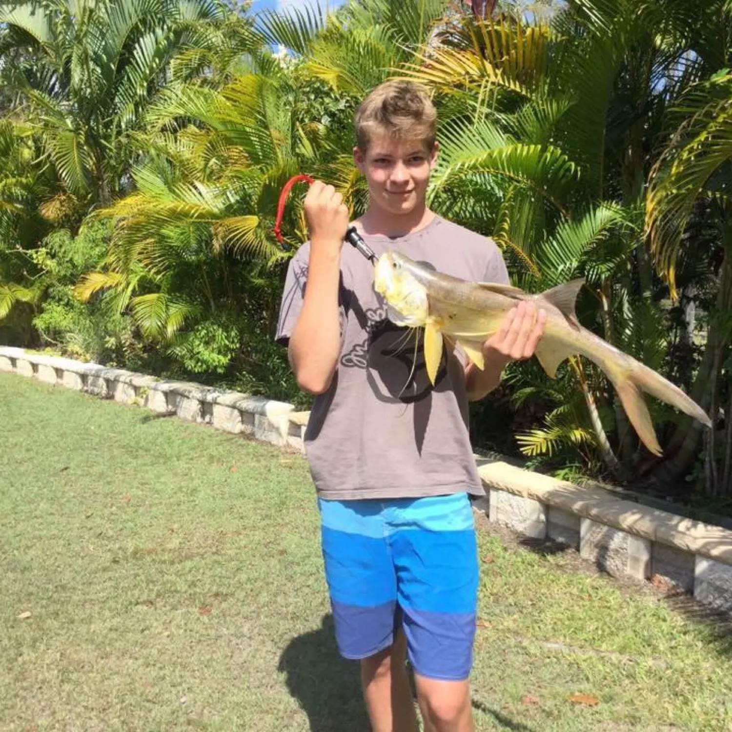 The most recent King threadfin catches on Fishbrain