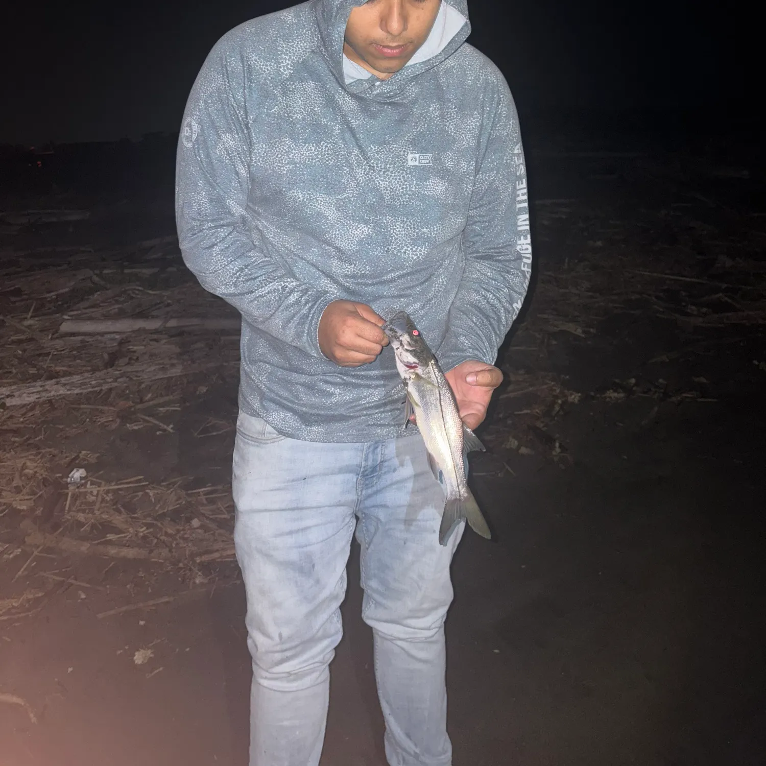 The most recent Common snook catches on Fishbrain