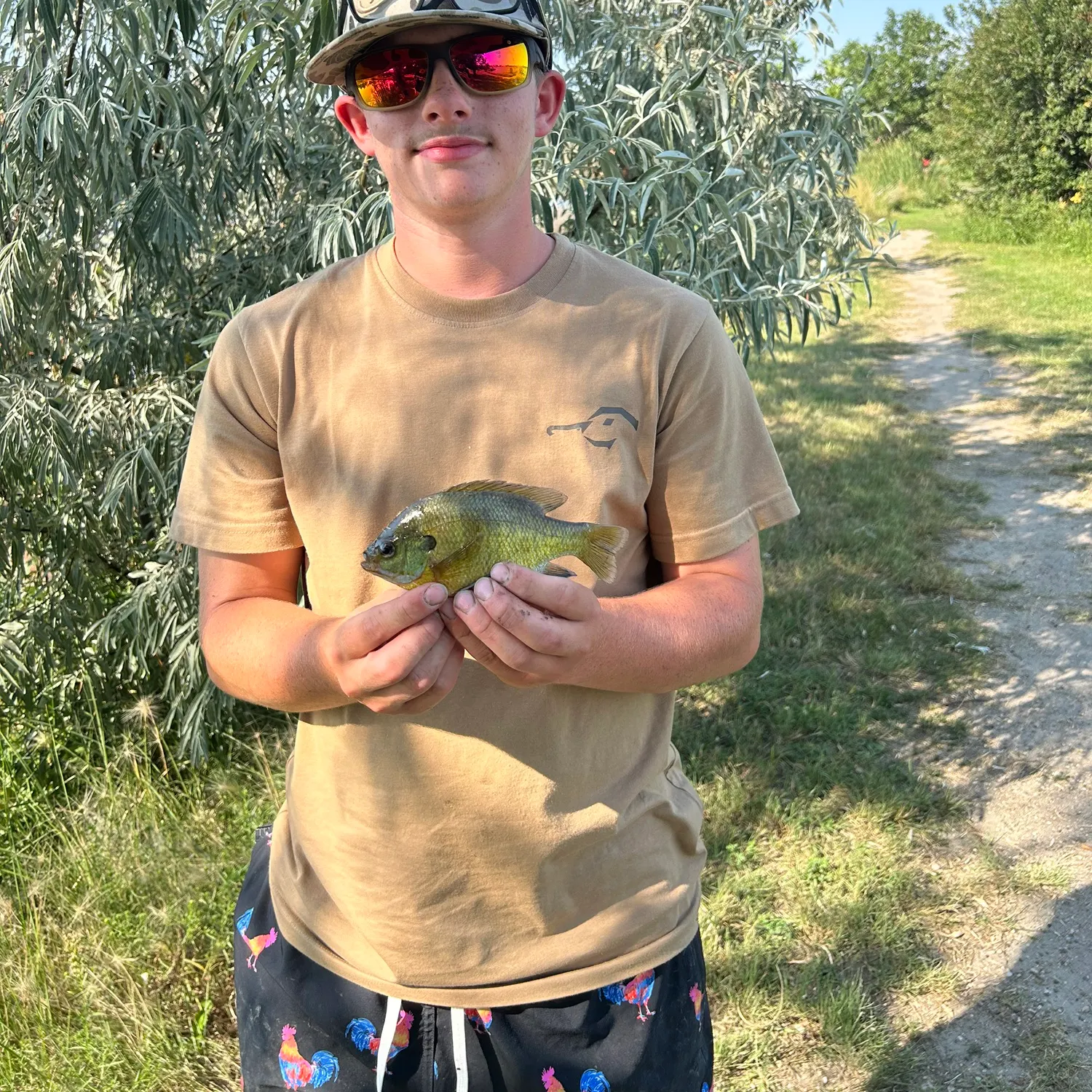 Bluegill caught on Fishbrain