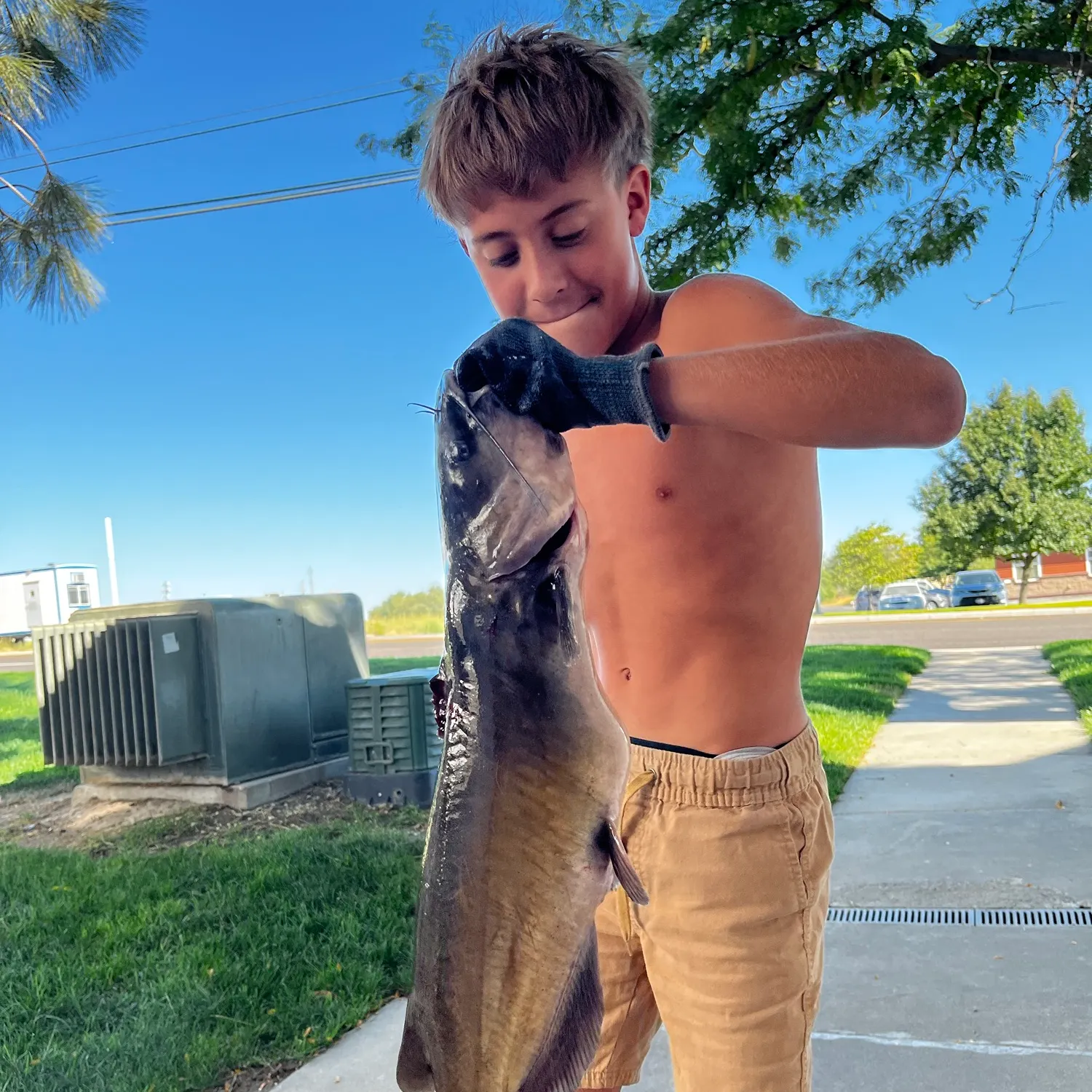 Channel catfish caught on Fishbrain