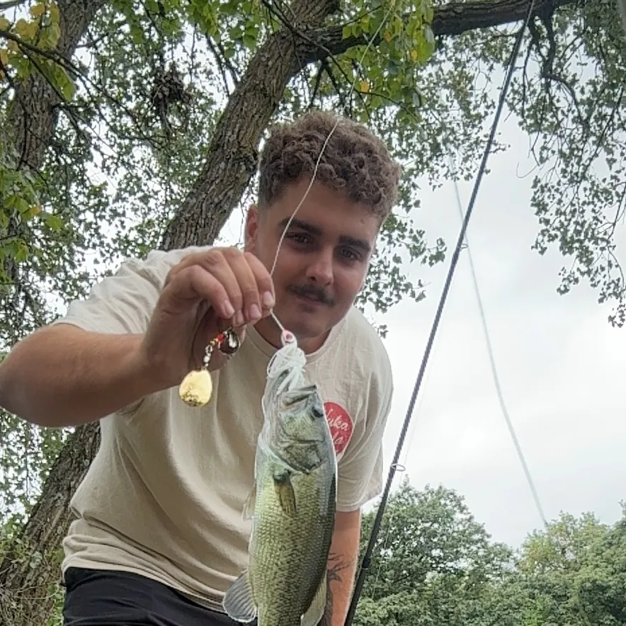 Largemouth bass caught on Fishbrain