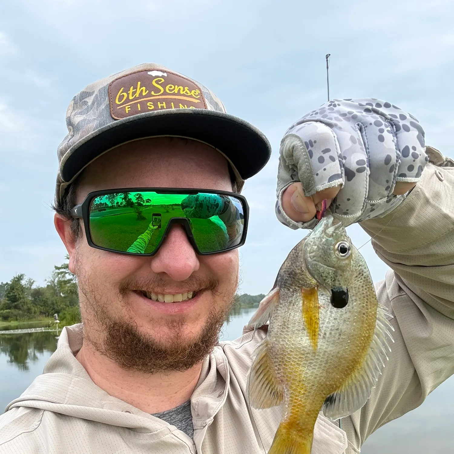 Bluegill caught on Fishbrain